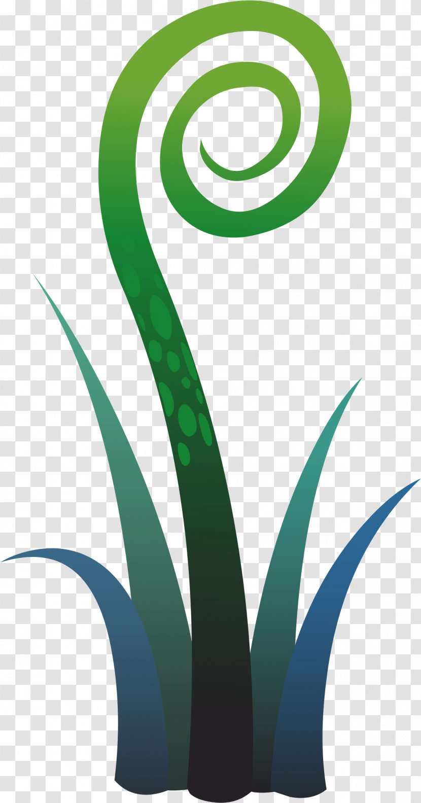 Tree Fern Plants Vascular Plant Clip Art - Sword - Agave Psd Files Transparent PNG
