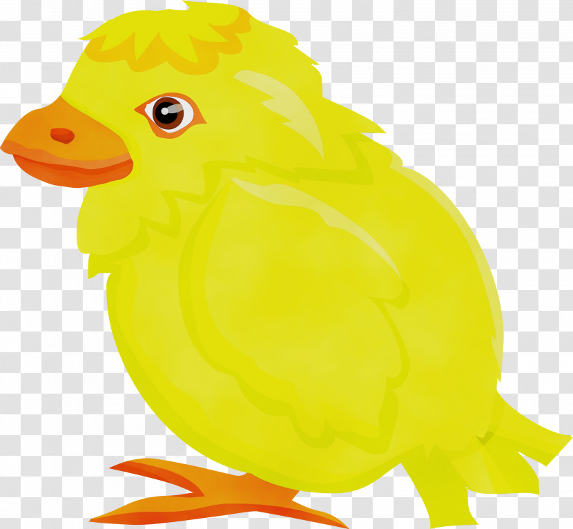 Bird Yellow Beak Ducks, Geese And Swans Chicken Transparent PNG