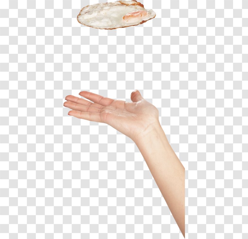 Fried Egg Lossless Compression Data - Thumb - Huevos Transparent PNG