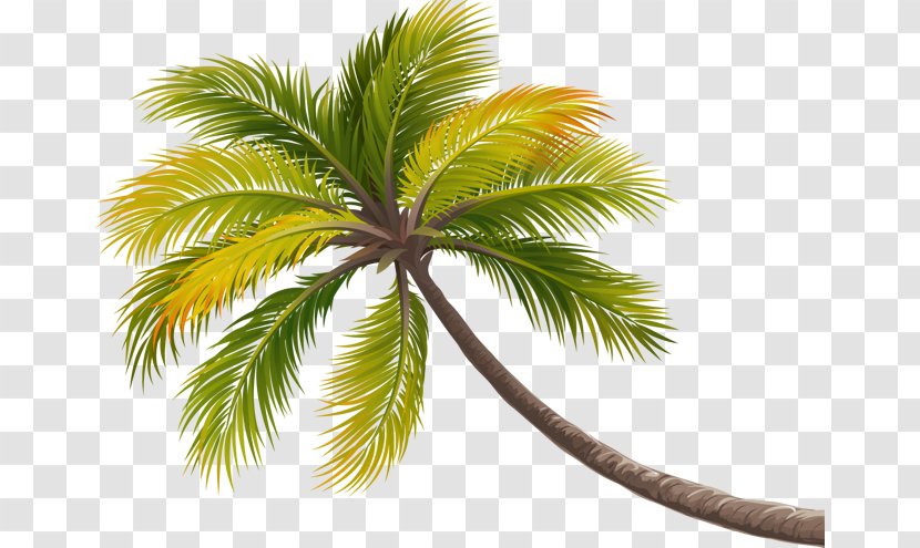Coconut Tree Arecaceae - Pixel - Decoration Transparent PNG