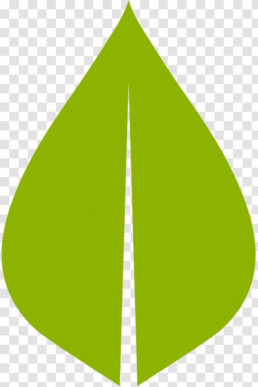 Leaf Product Design Line Angle Font - Logo - Evergreen Transparent PNG