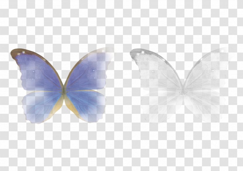 Butterfly Lens Flare Clip Art Adobe Photoshop - Flower Transparent PNG