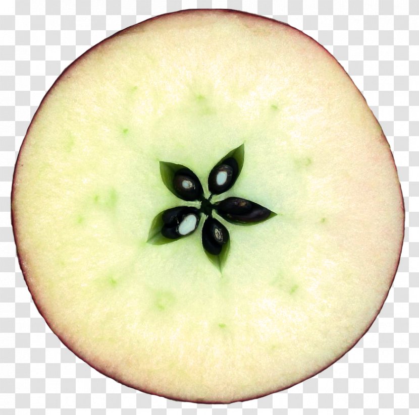 Apple Fruit Pomegranate Tree Of The Knowledge Good And Evil English - Adam - Eve Transparent PNG