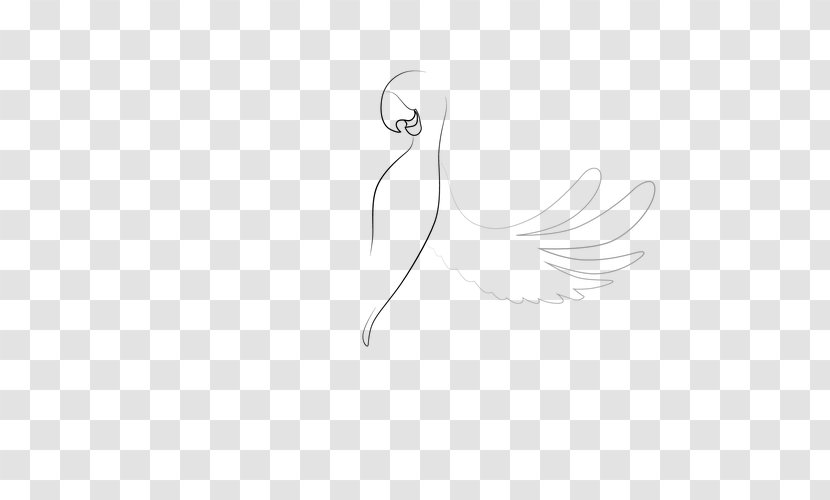 Ducks, Geese And Swans Beak /m/02csf Goose Water Bird - Duck - Step By Directions For Drawing A Transparent PNG