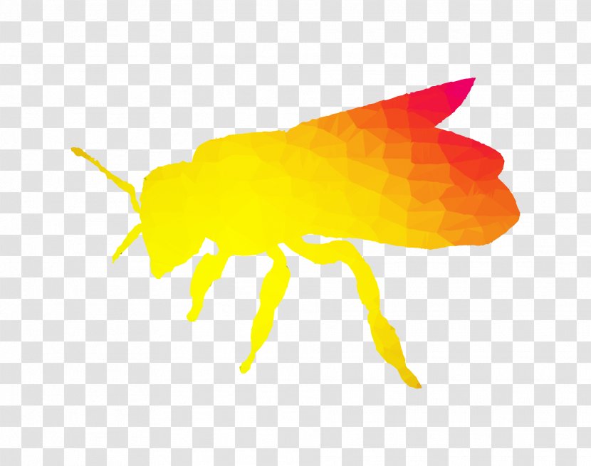 Honey Bee Yellow - Pest Transparent PNG