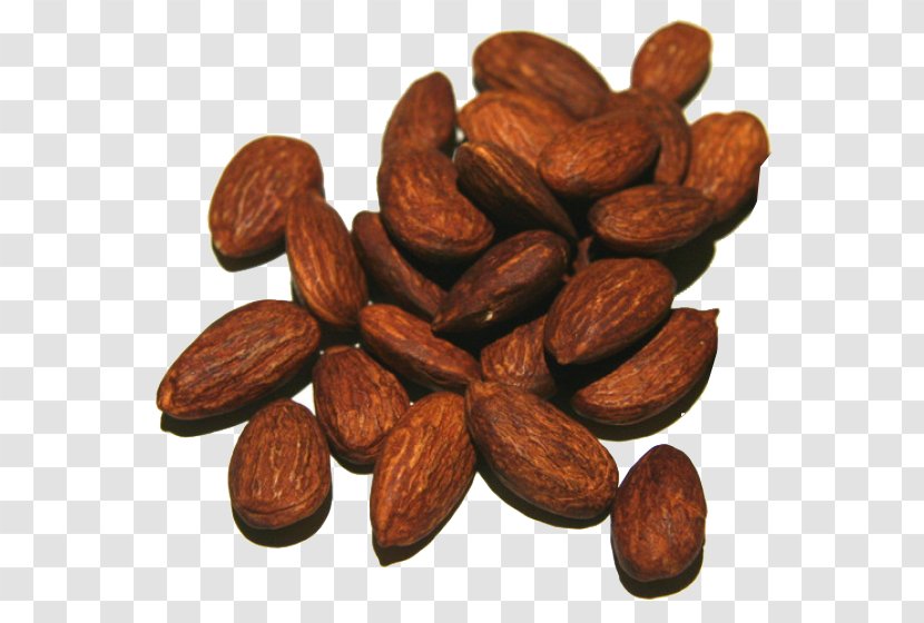 Almond Food Plant Nuts & Seeds Superfood - Bean - Java Coffee Transparent PNG
