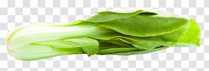 Bok Choy Romaine Lettuce Napa Cabbage - Leaf Vegetable Transparent PNG