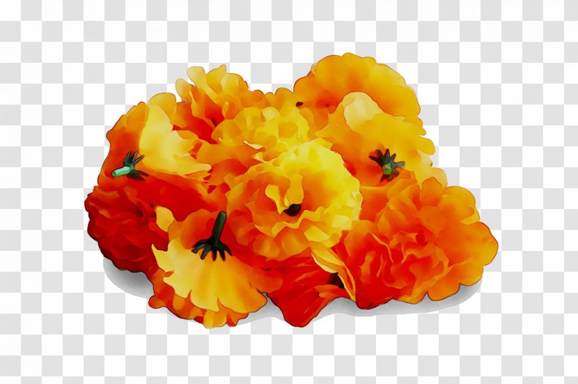 Cut Flowers - Yellow Transparent PNG