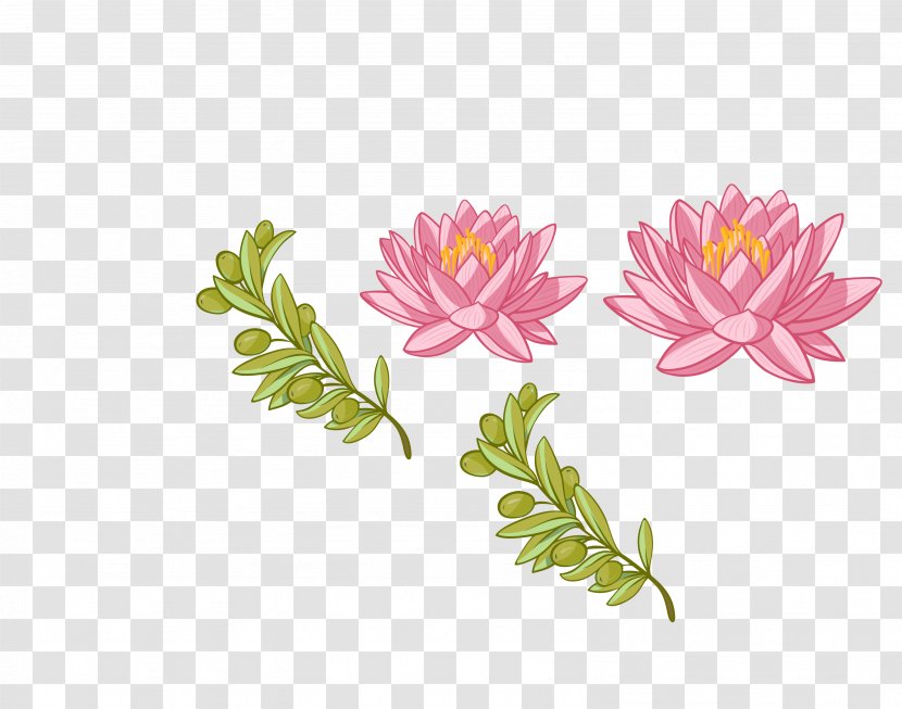 Euclidean Vector Nelumbo Nucifera Clip Art - Pink - Color Lotus Green Leaf Decoration Pattern Transparent PNG