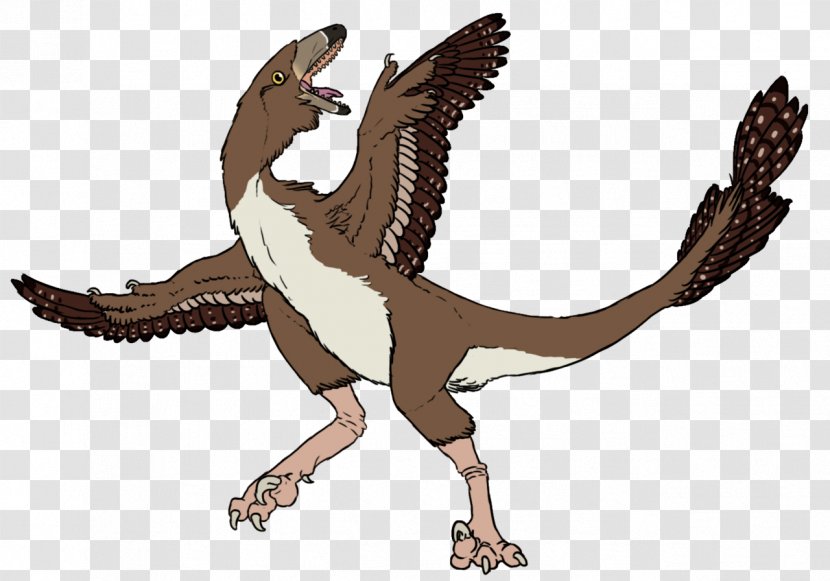 Velociraptor Tyrannosaurus Bird Of Prey Beak Transparent PNG