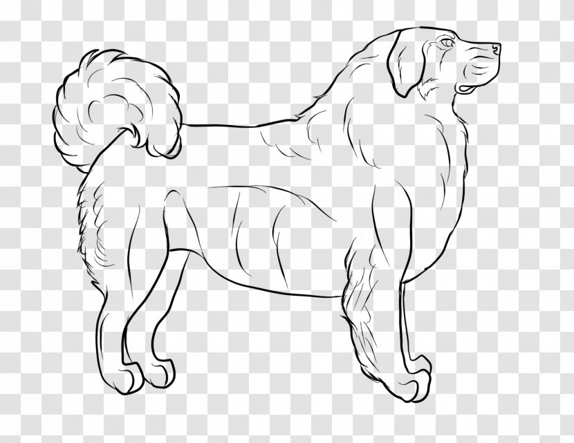 Dog Breed Line Art Drawing - Paw Transparent PNG