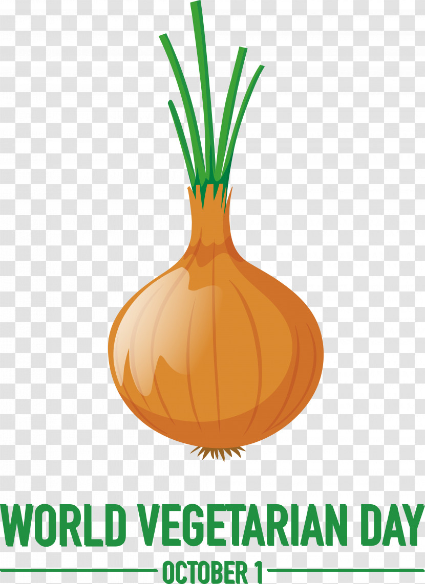 Plant Onion Squash Line Supermoto Transparent PNG