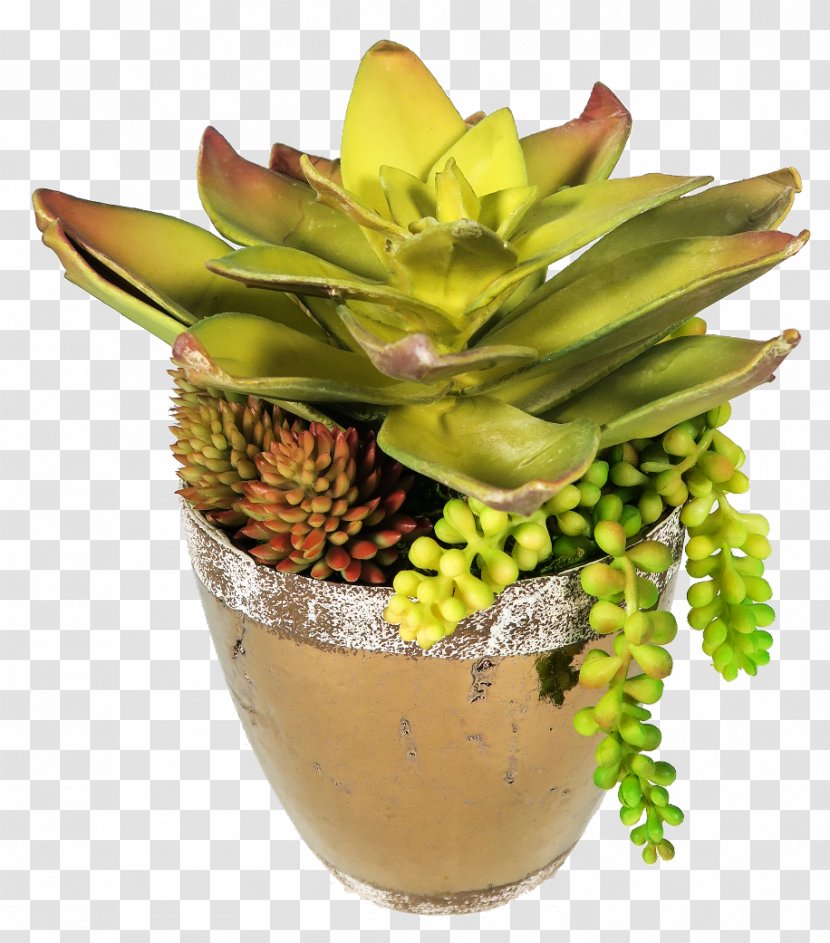 Floral Design Flowerpot Fruit - Floristry Transparent PNG