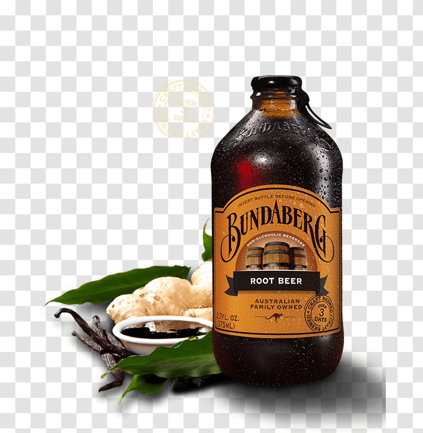Ginger Beer Root Fizzy Drinks Sarsaparilla - Carbonated Water Transparent PNG