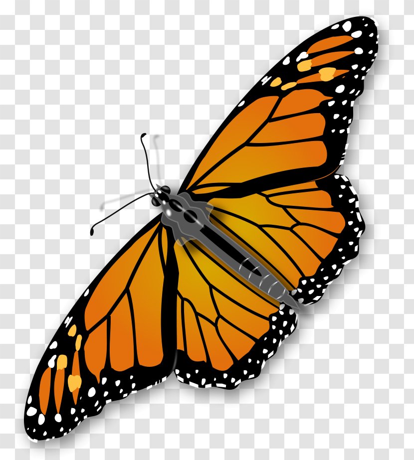 Monarch Butterfly Insect Clip Art - Public Domain - Clipart Transparent PNG