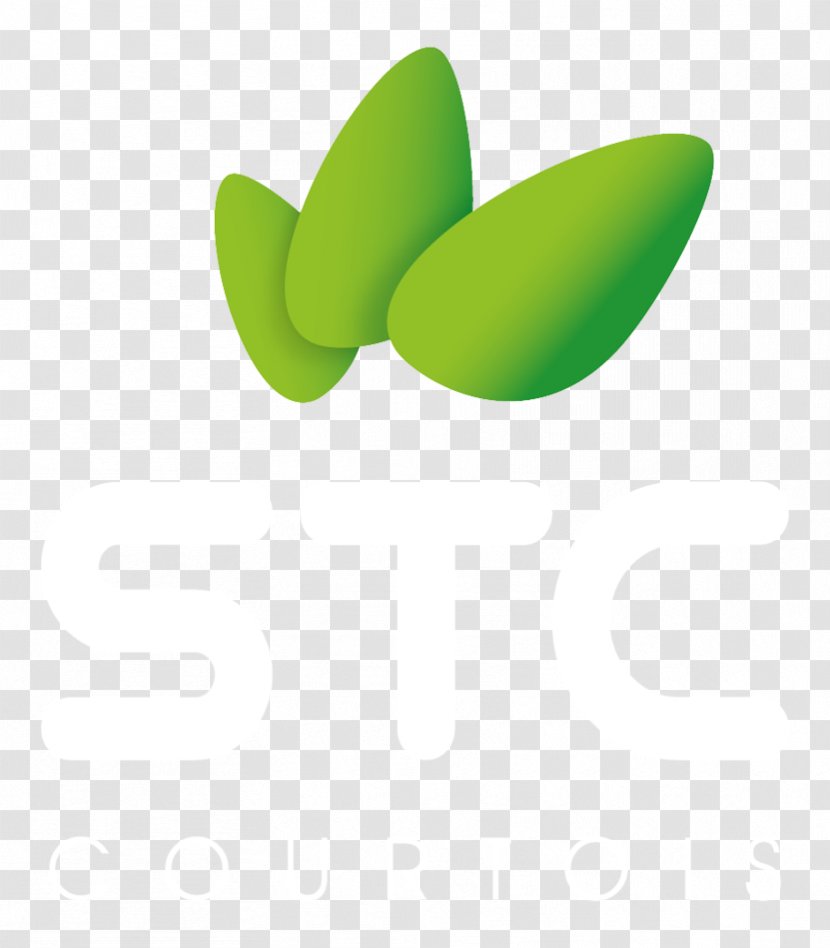 Logo Desktop Wallpaper Computer Font - Green Transparent PNG