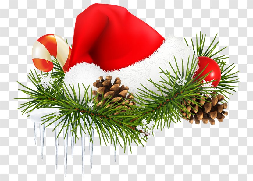 Santa Claus Christmas Tree - Pine Transparent PNG