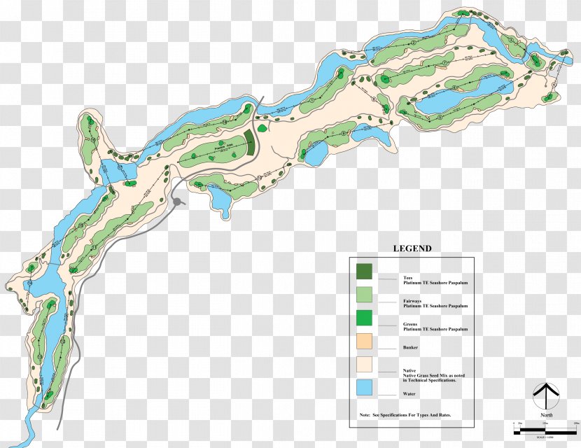 Water Resources Organism Map Product Design - Special Olympics Area M Transparent PNG