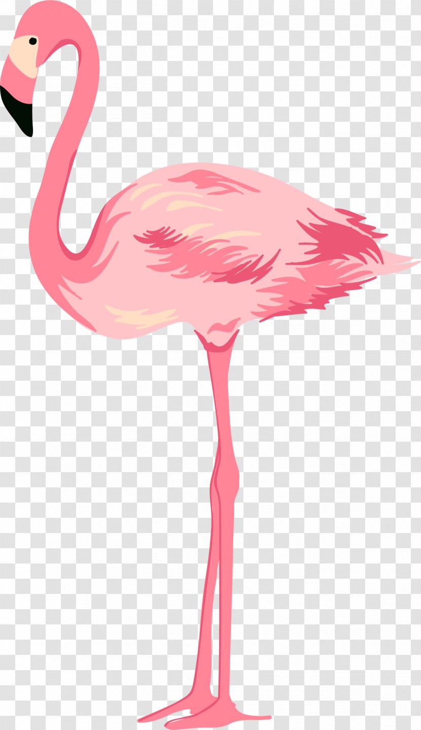 Cygnini Pink - Flamingo - Hand Painted Swan Transparent PNG