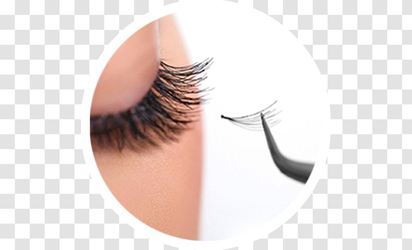 Eyelash Extensions Beauty Artificial Hair Integrations Fashion Transparent PNG
