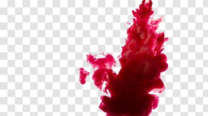 Color Ink Desktop Wallpaper Clip Art - Tree - Flower Transparent PNG