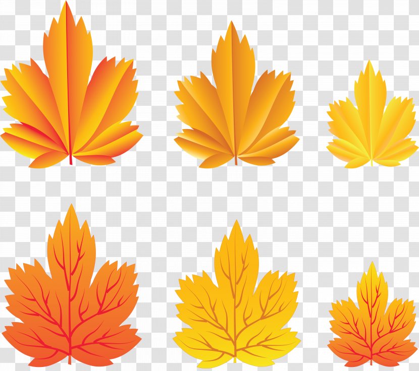 Autumn Leaves Leaf Clip Art - Sunflower - Maple Transparent PNG