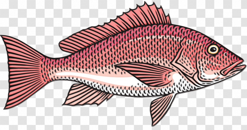 Fish Fish Snapper Fish Products Red Snapper Transparent PNG