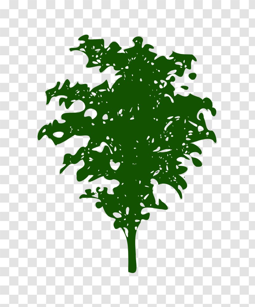 Green Leaf Plant Stem Font Transparent PNG