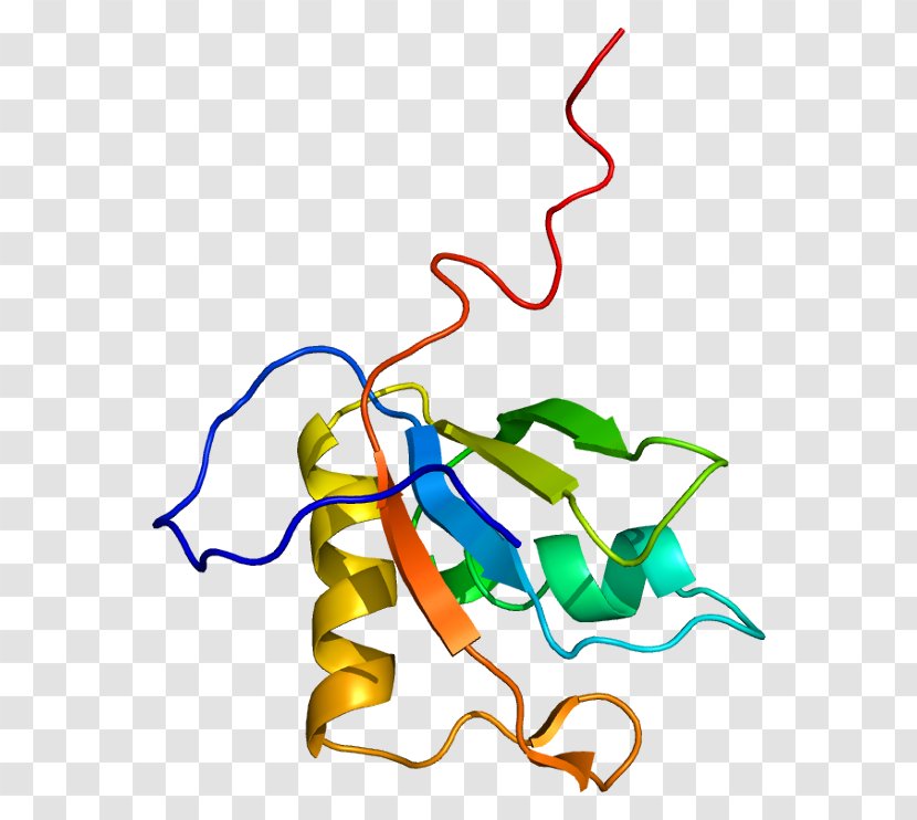 MATR3 Protein Gene Nuclear Matrix Chromosome 5 - Heart - Watercolor Transparent PNG