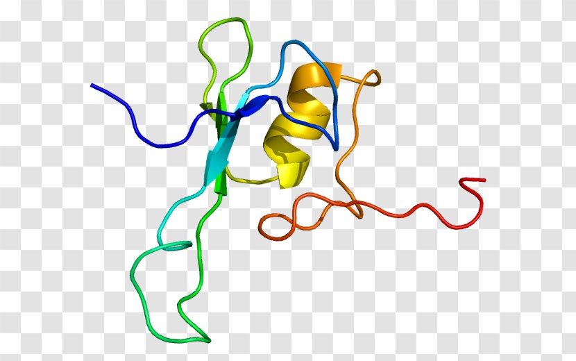 MBD1 MECP2 Wikipedia Methyl-CpG-binding Domain Methylation - Silhouette - Watercolor Transparent PNG