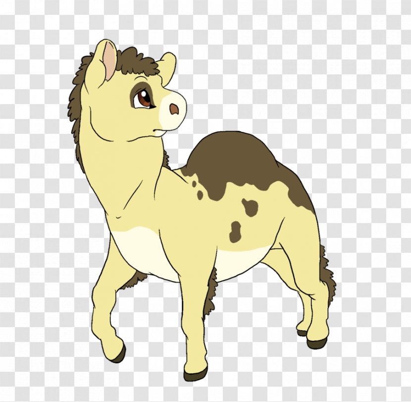 Cat Lion Dog Mustang Mammal - Horse Transparent PNG