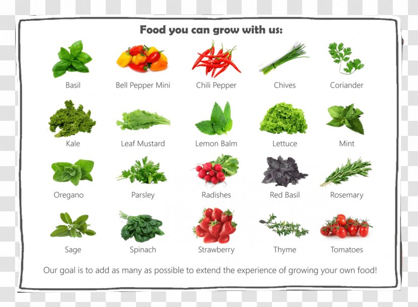 Does This Feel Familiar? Garden Gnome Food Plant - Organism - Enjoy Your Meal Transparent PNG