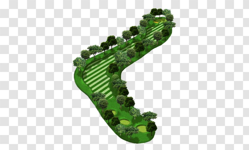 Plant Shoe Transparent PNG