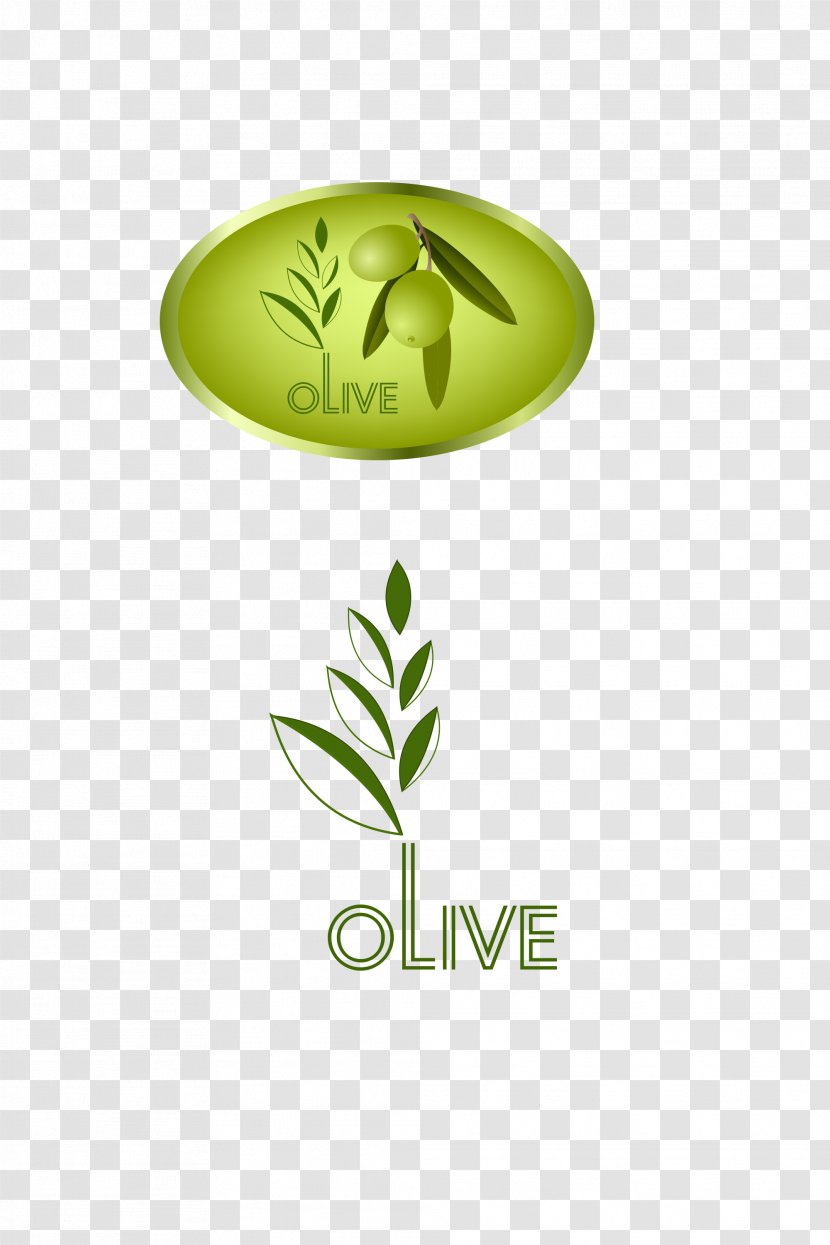 Olive Leaf Icon Transparent PNG