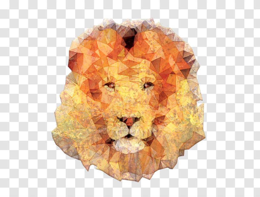 Lion Laptop Orange S.A. Sleeve - Tee Shirt Transparent PNG