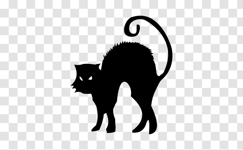Black Cat Kitten Halloween - Small To Medium Sized Cats Transparent PNG