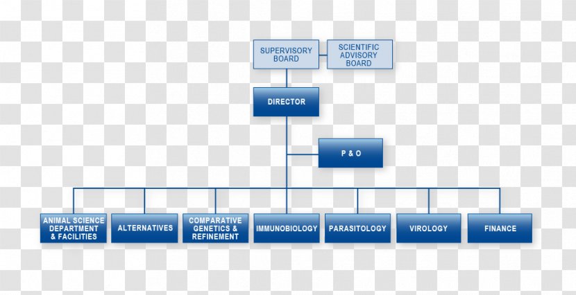 Organizational Chart Solicitor General Of Brazil Procuradoria-Geral Federal Public Procuracy - Organigram Transparent PNG