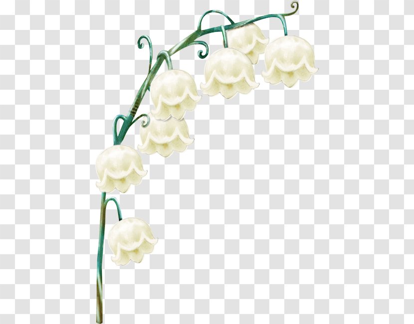 Lily Of The Valley Flower Clip Art - Ping - Muguet Transparent PNG