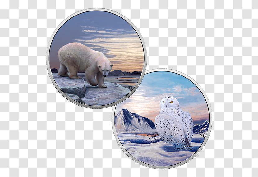 Snowy Owl Canada Coin Bird - Horned Owls And Eagleowls - Glow In The Dark Animals Transparent PNG