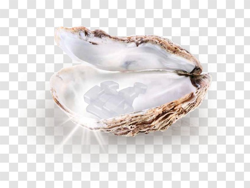 The Pearl Gemstone Pinctada Maxima Cultured - Birthstone Transparent PNG