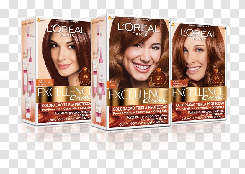 Hair Coloring Brown LÓreal - Chestnut Transparent PNG