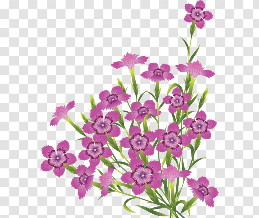 Flower Desktop Wallpaper Floral Design Clip Art - Plant Transparent PNG