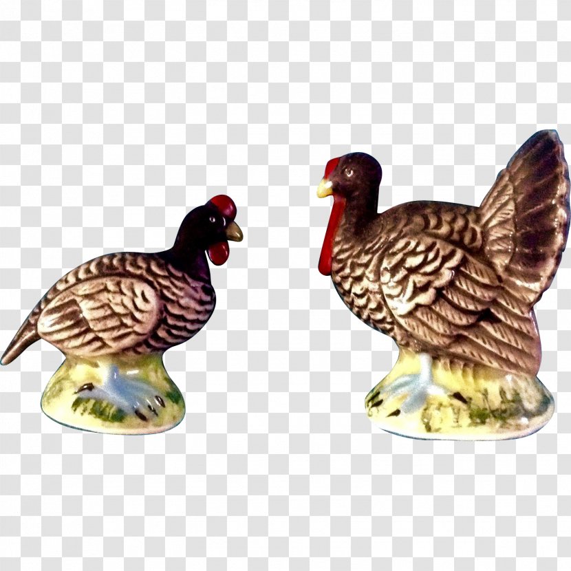 Bird Chicken Galliformes Fowl Poultry - Turkey Transparent PNG