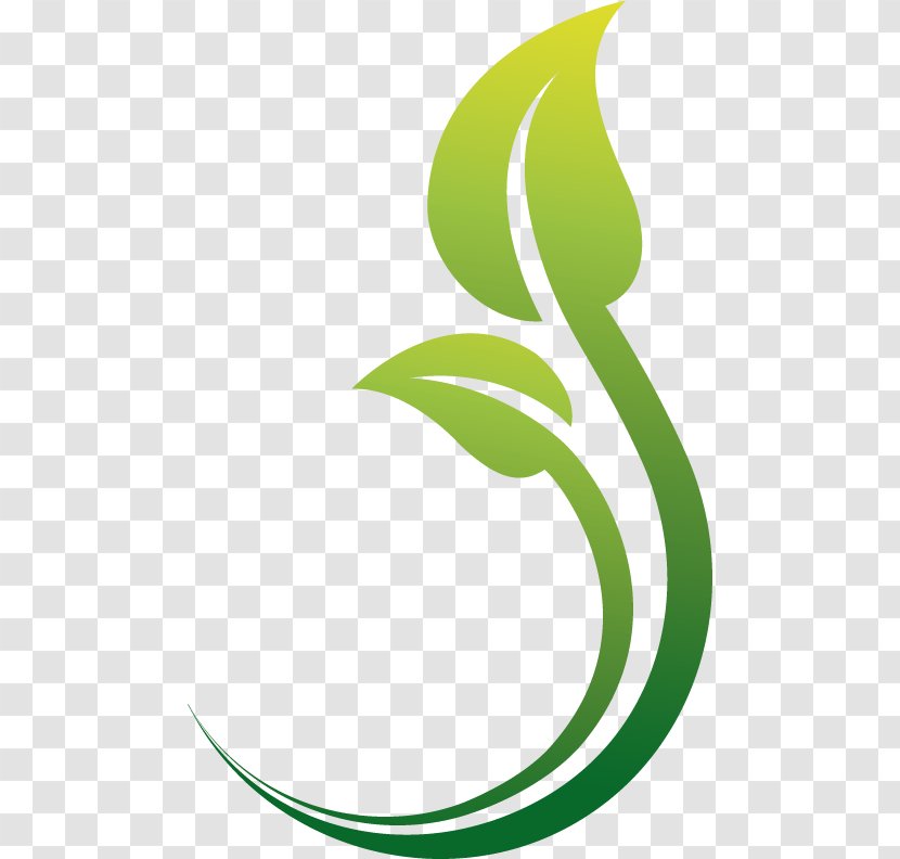 Logo Herb Graphic Design - Com - Flora Transparent PNG