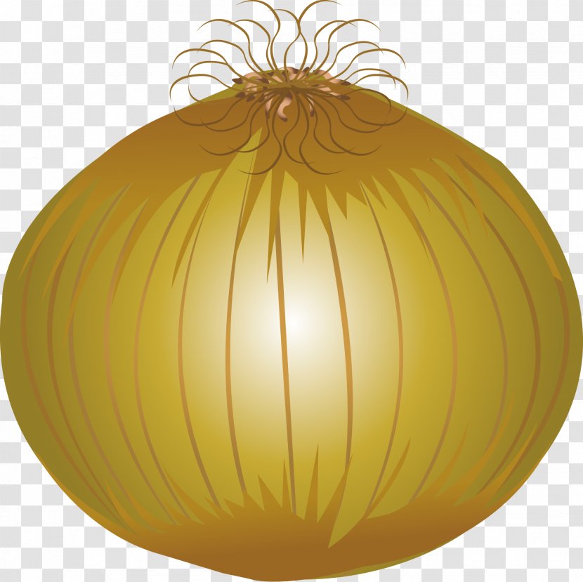 Garlic Cartoon Download - Onion - Vector Transparent PNG