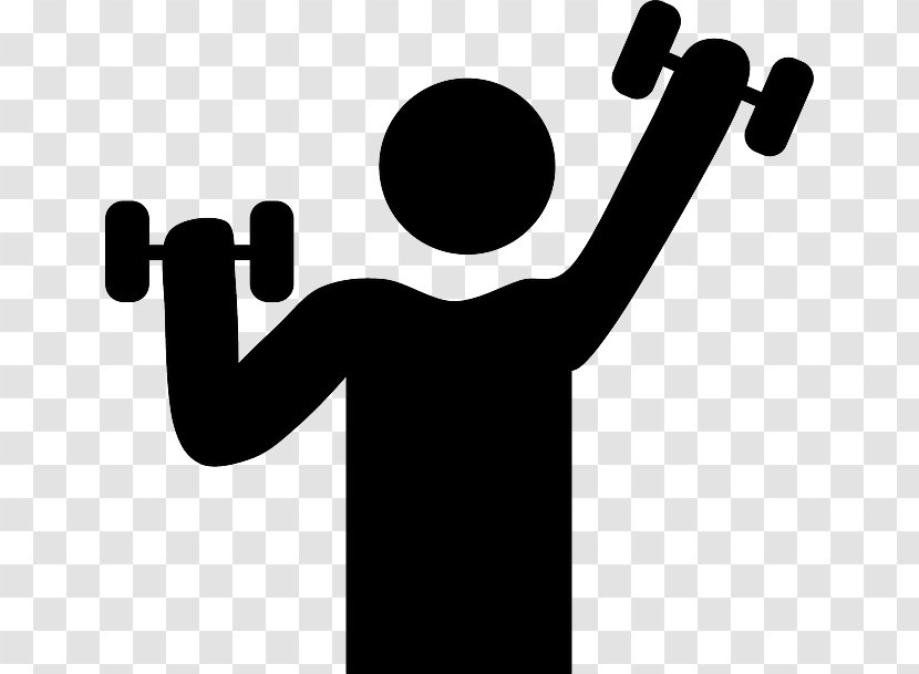 Exercise Physical Fitness Centre Clip Art - Hand - Workout Transparent PNG