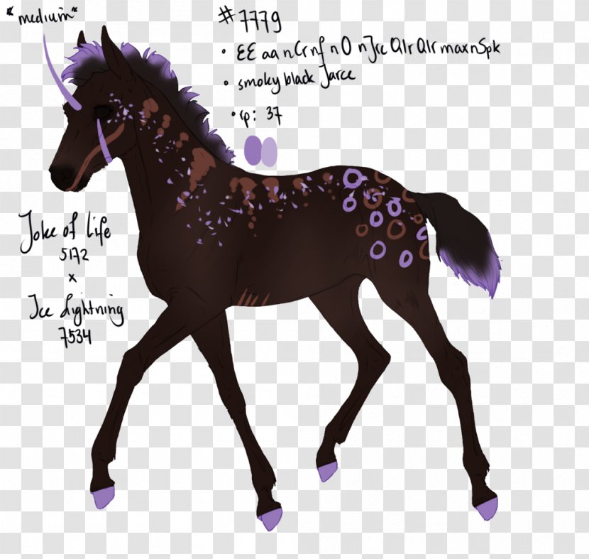 Australian Stock Horse American Paint Foal Vector Graphics Illustration - Mammal - Victoria Z Rivers Transparent PNG