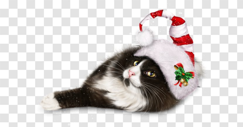 Cat Whiskers Kitten Christmas Ornament Day - Animals Image Transparent PNG