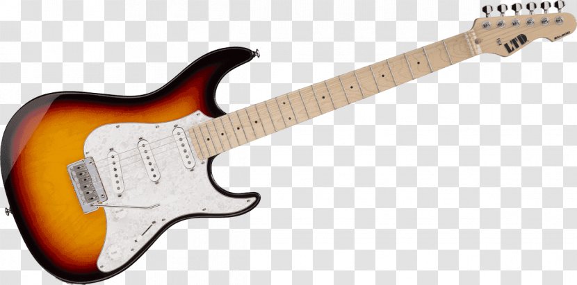 Acoustic-electric Guitar Bass Fender Musical Instruments Corporation - Stratocaster - Electric Transparent PNG
