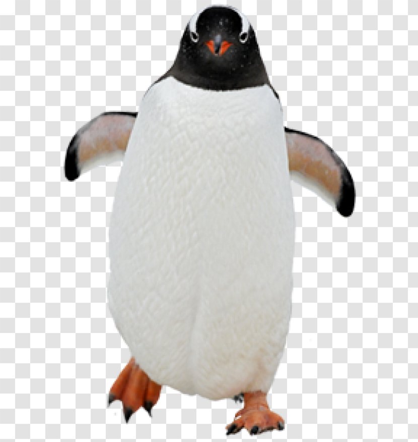 Penguin Kowalski Clip Art Skipper - Toy Transparent PNG